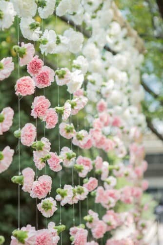 A Curtain of Carnations