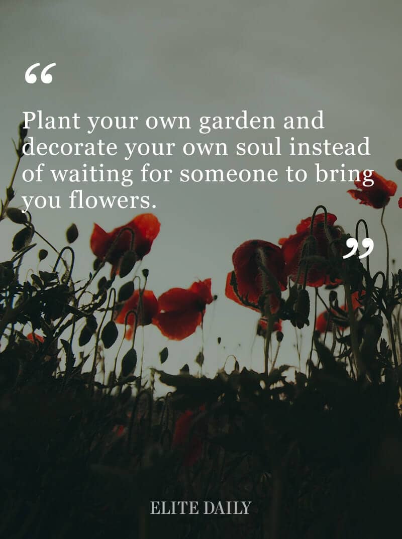 Be The Cultivator of Your Own Internal Beauty