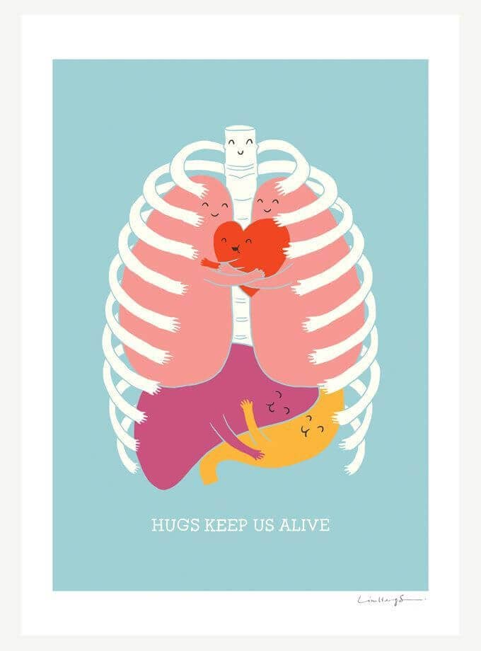 Internal Organs Aren't Stuck Together, They're Hugging