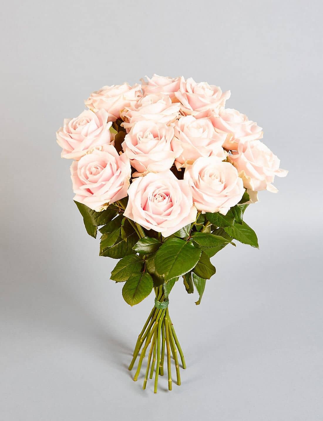 The Simple Pink Rose Bundle