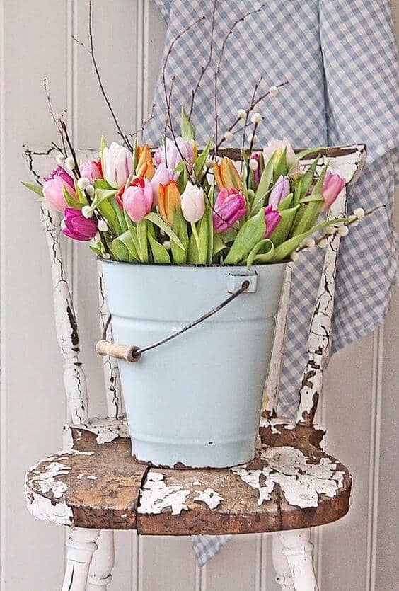 A Bucket Full of Tulips