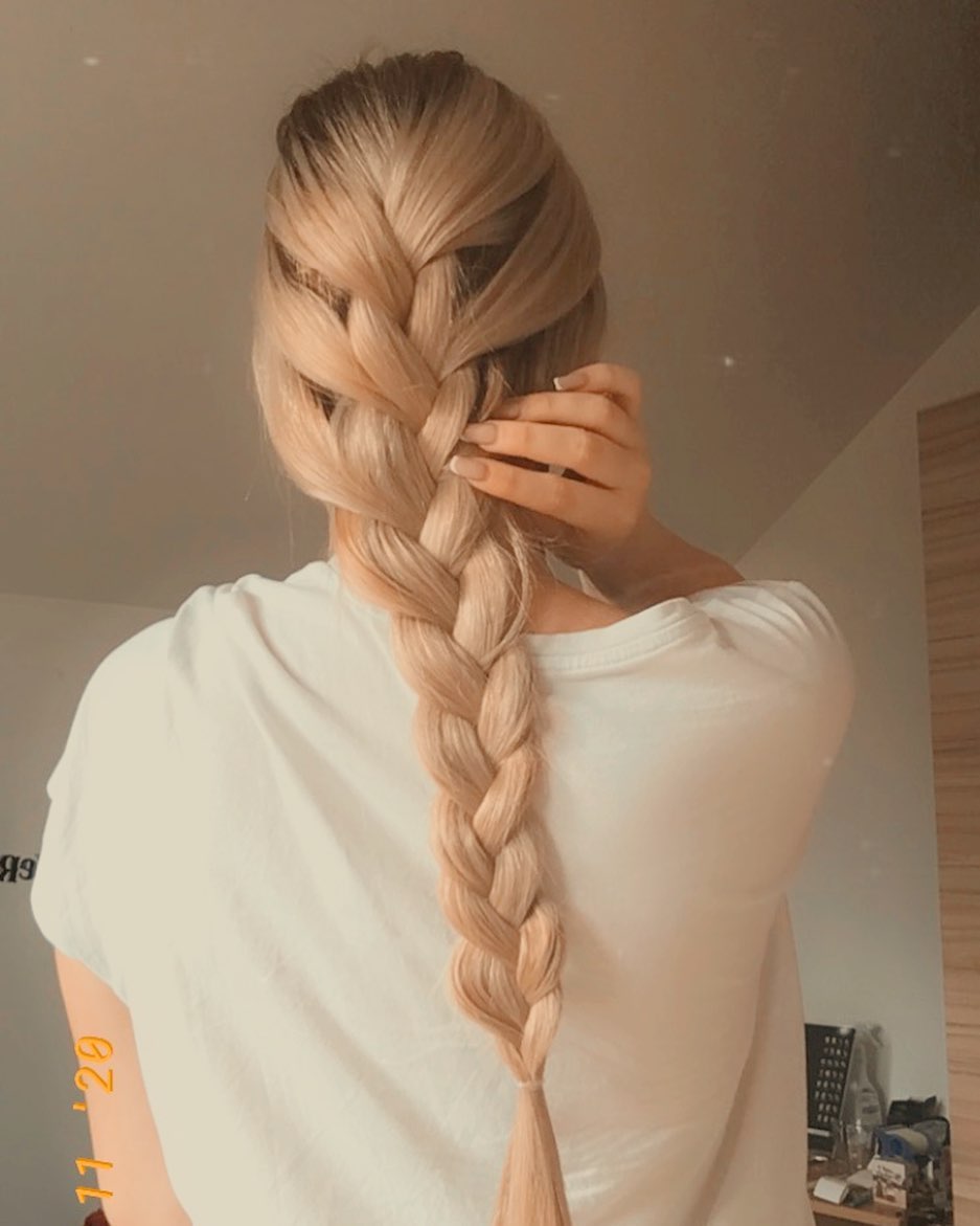 Loose French Braid Tail with Voluminous Hair, French Braid Pigtails