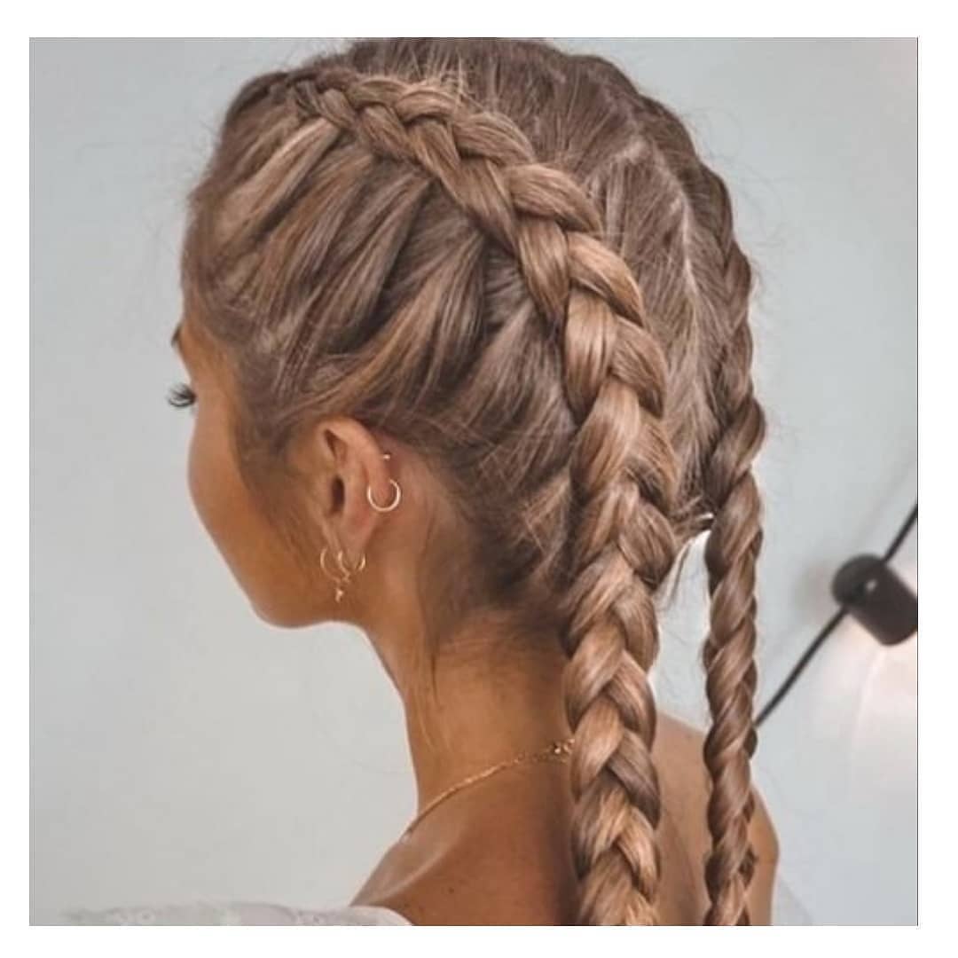 Middle Head Double French Braid Hairstyle in Rose Gold