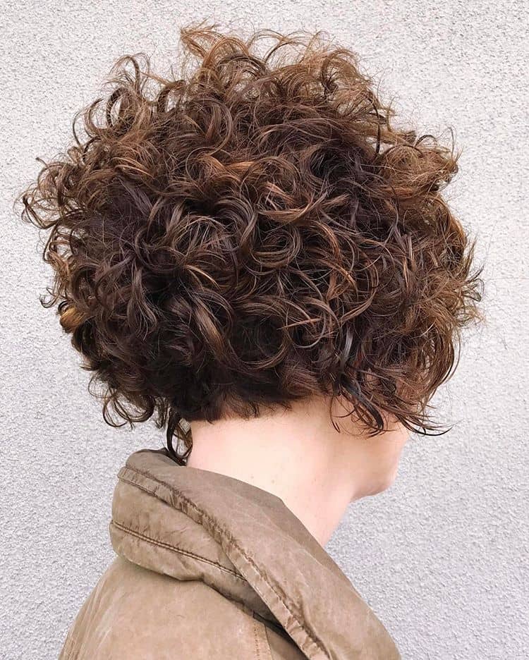 Shapely Chaos In Short Curls