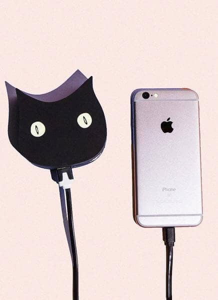 Cat Lovers Rejoice Amid Phone Charging 