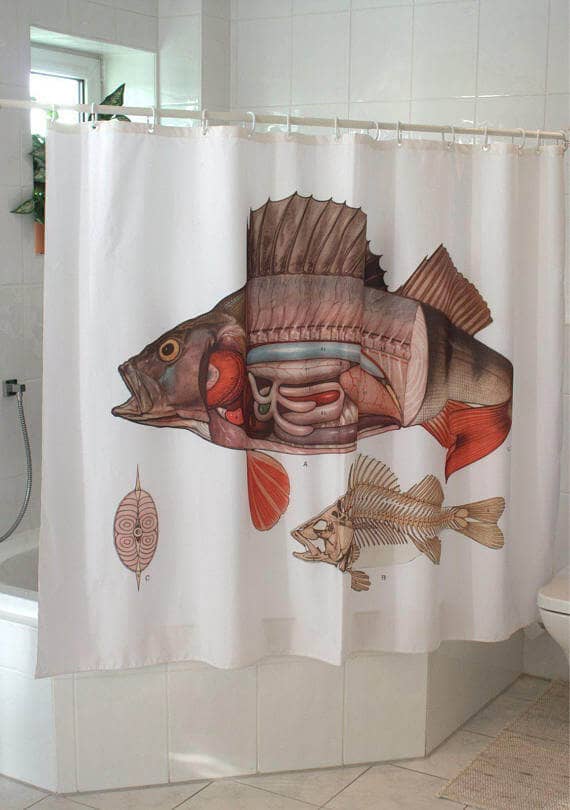 Fish Anatomy Shower Curtain Unisex