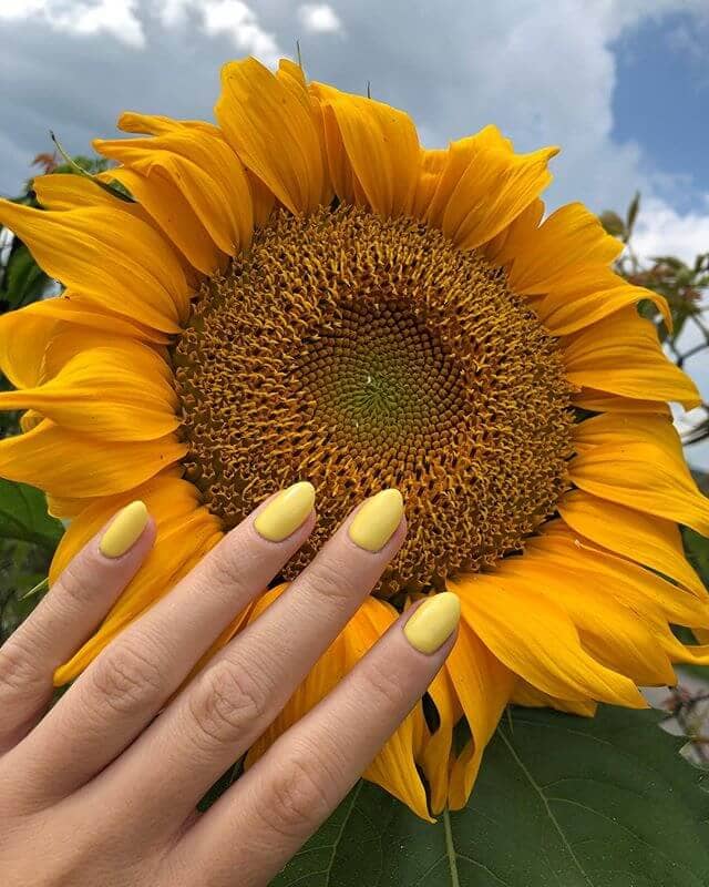 Pale Lemon Yellow Oval Nails