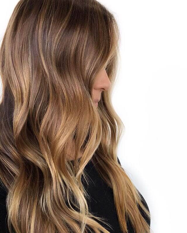 Light Brown and Honey Caramel Highlights with Seamless Blending