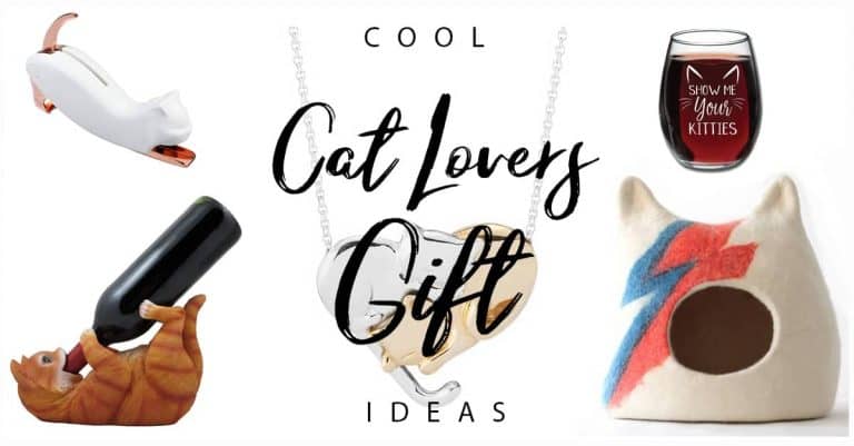 Featured image for “50 Gifts for Cat Lovers to Make Them Purr With Happiness”