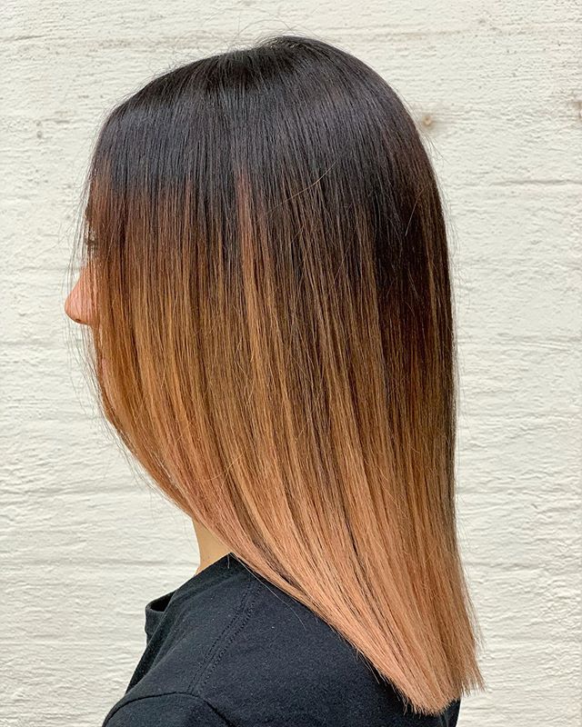 Straight Blunt Lob with Three Brown Tiers