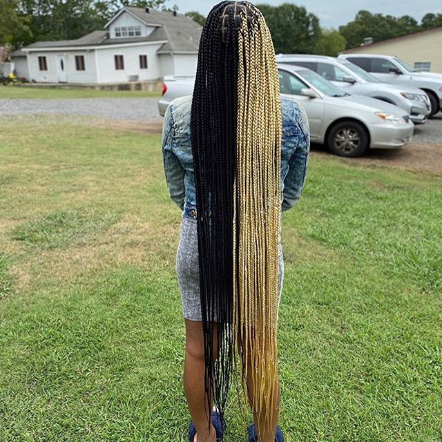 Rapunzel Blonde And Black Best Lemonade Braids