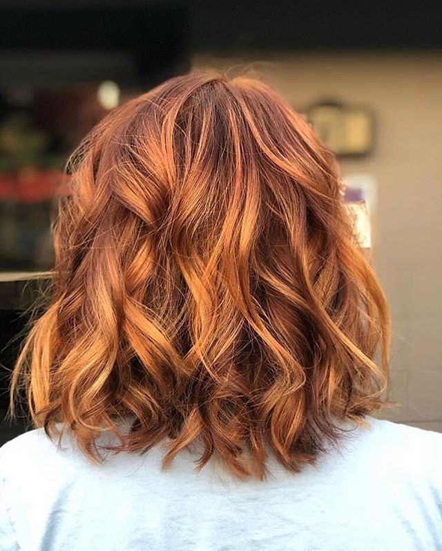 Audrey 3’s Copper Rotini