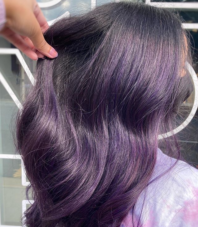  Deep Plum On Top, Dark Underneath