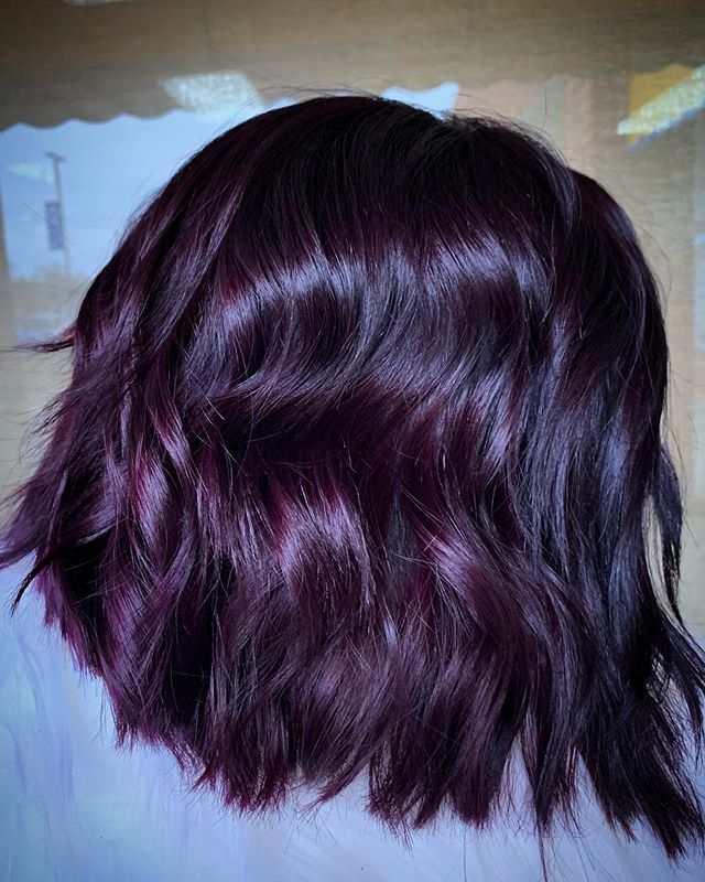 Dark Grape Colored Glimmering Bob